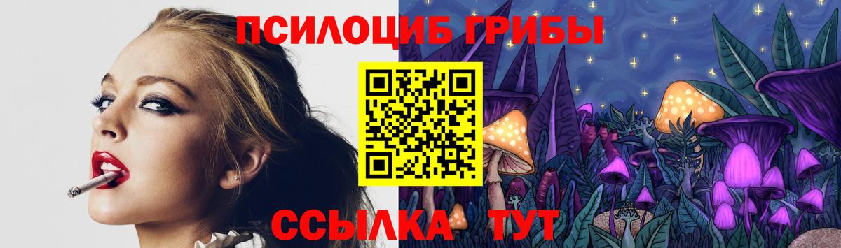 Жигулёвск  Галлюциногенные грибы прущие грибы  Вход с VPN 