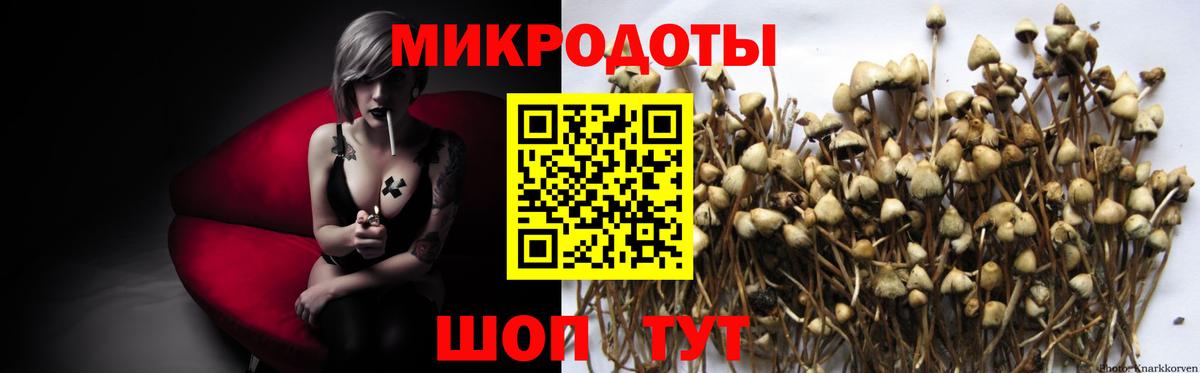 Галлюциногенные грибы мухоморы Жигулёвск